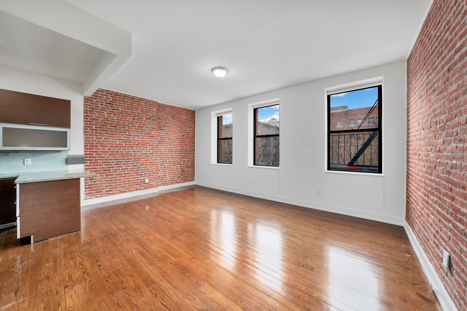 159 West 118th Street 3H Mt. Morris Park New York NY 10026