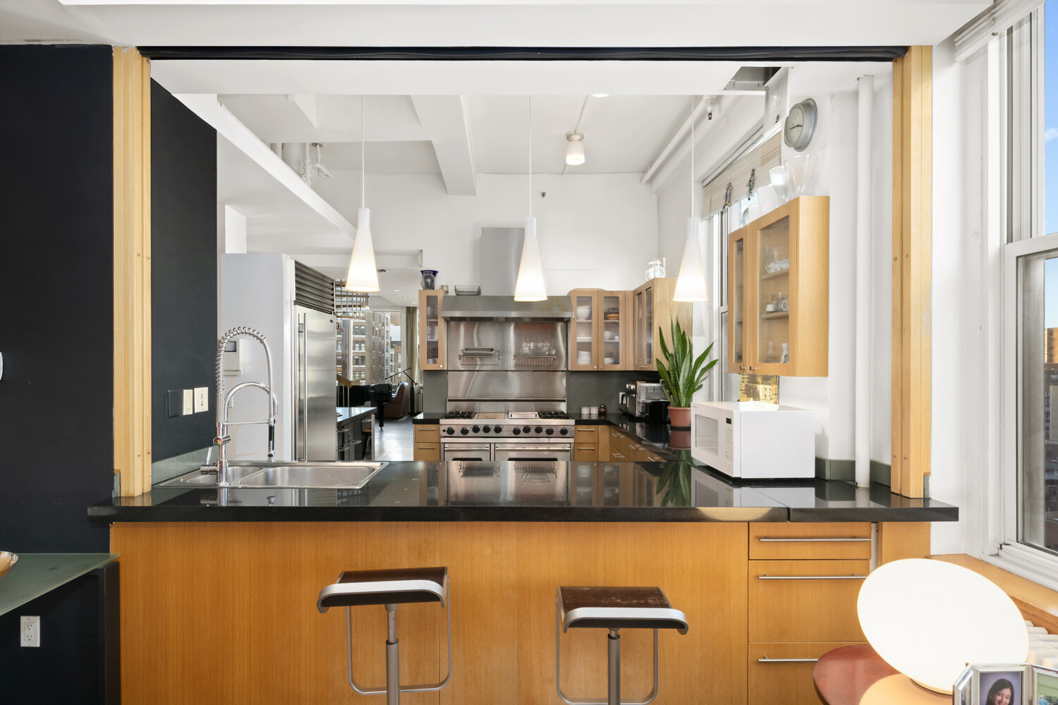 118 East 25th Street PH Kips Bay New York NY 10010