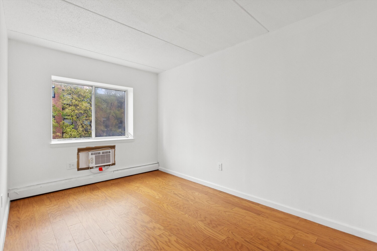 323 East 119th Street East Harlem New York NY 10035