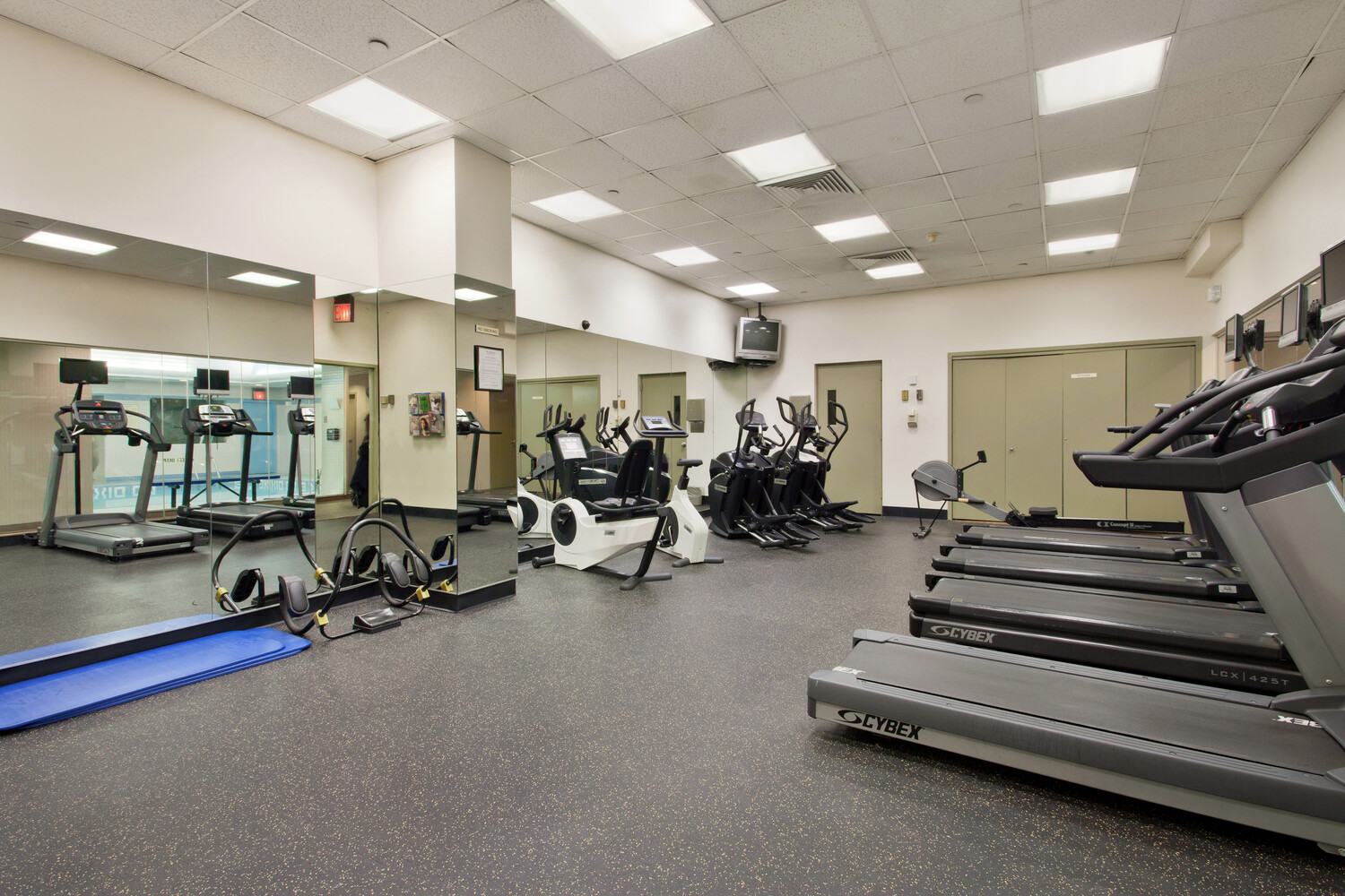 250 East 40th Street 20B Murray Hill New York NY 10016