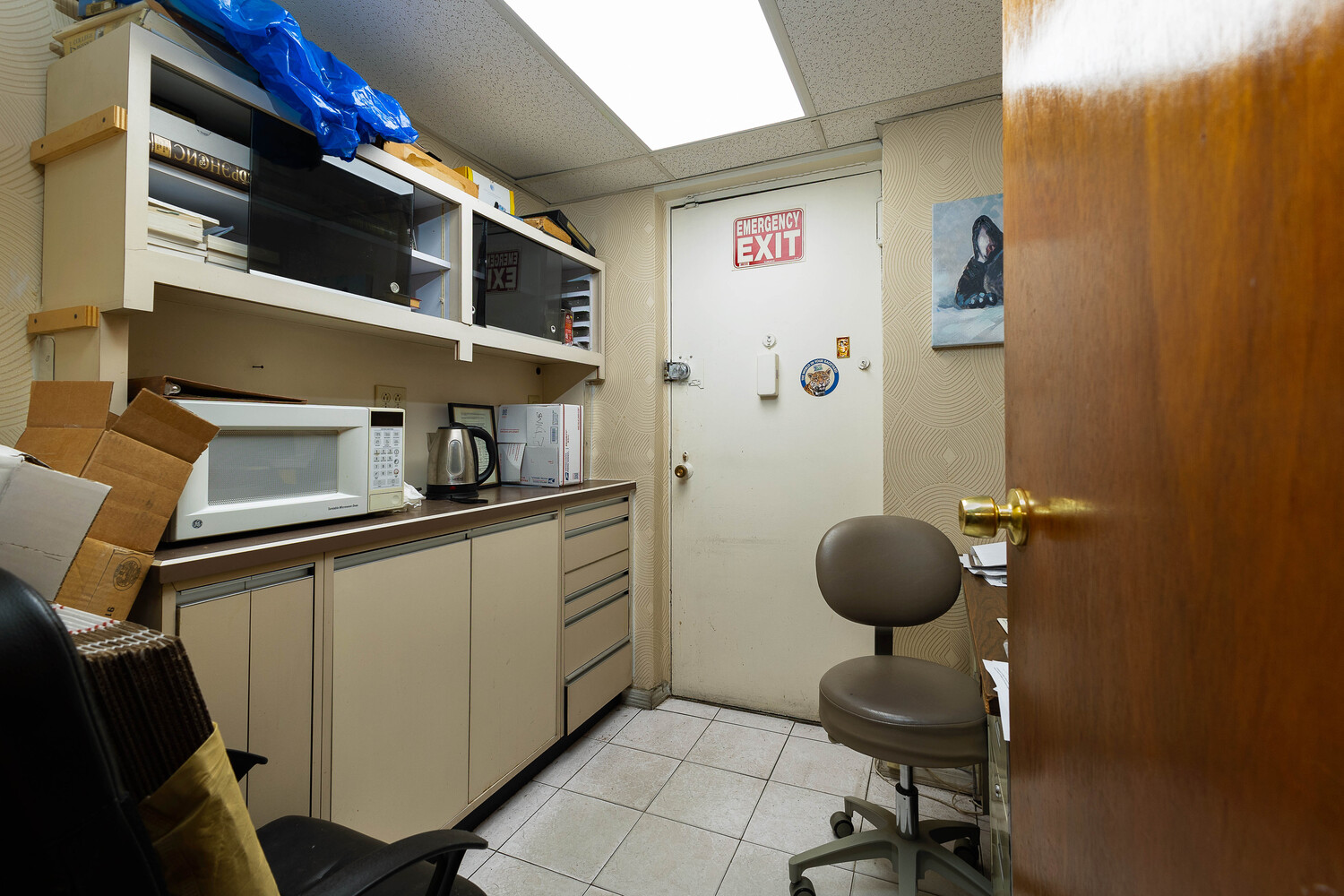 207 Ocean Parkway 1J Kensington Brooklyn NY 11218