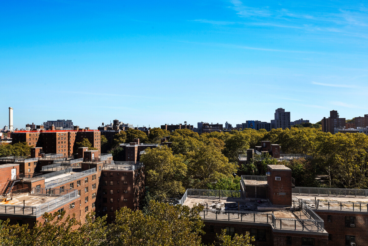 176 Johnson Street 8A Downtown Brooklyn NY 11201