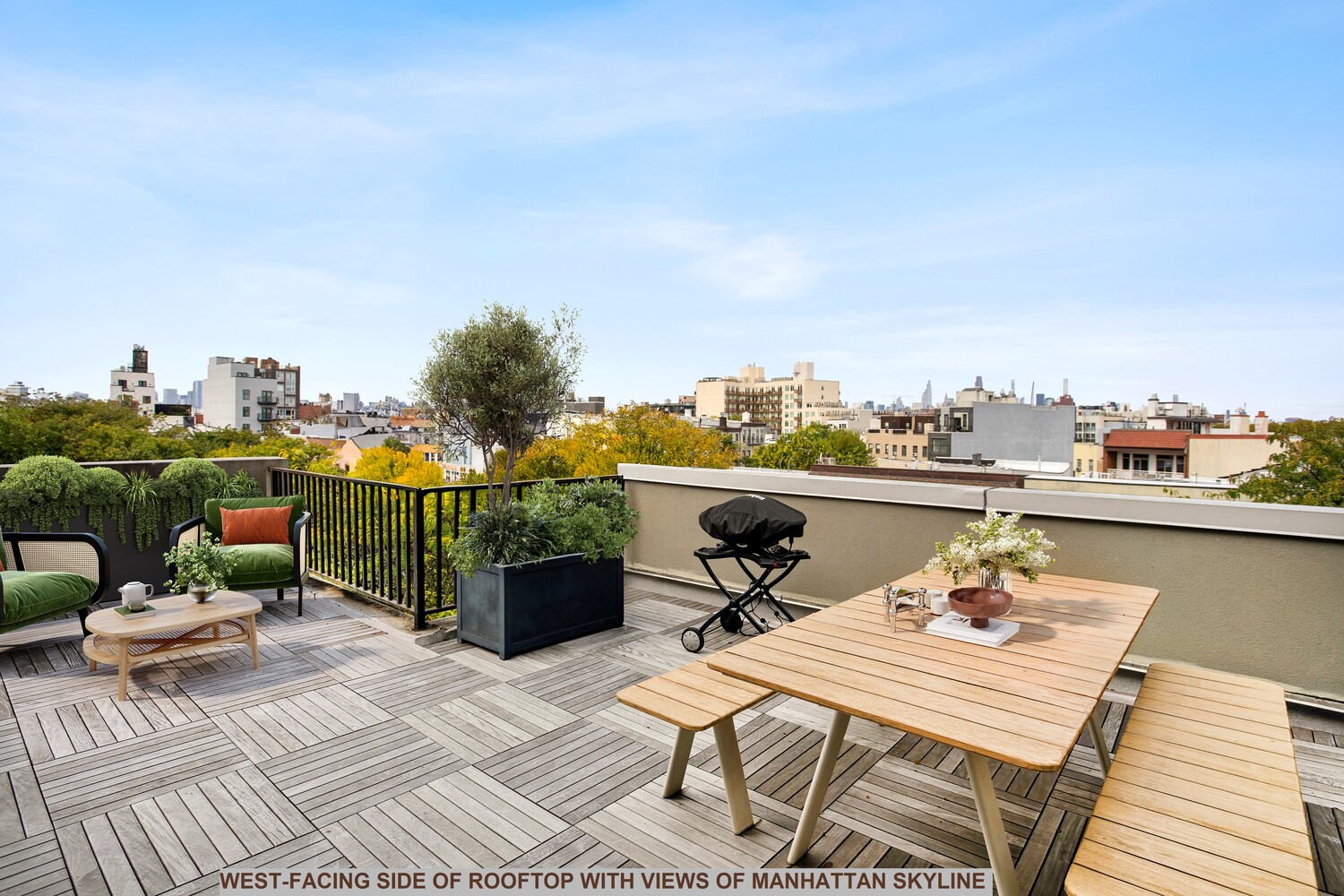 290 Powers Street PH Williamsburg Brooklyn NY 11211