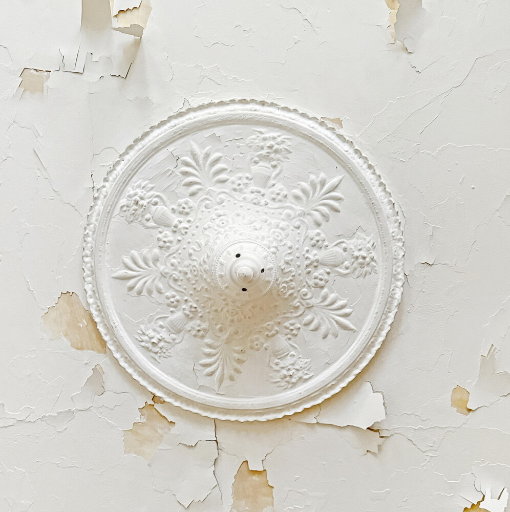 426 MacDonough Street Stuyvesant Heights Brooklyn NY 11233