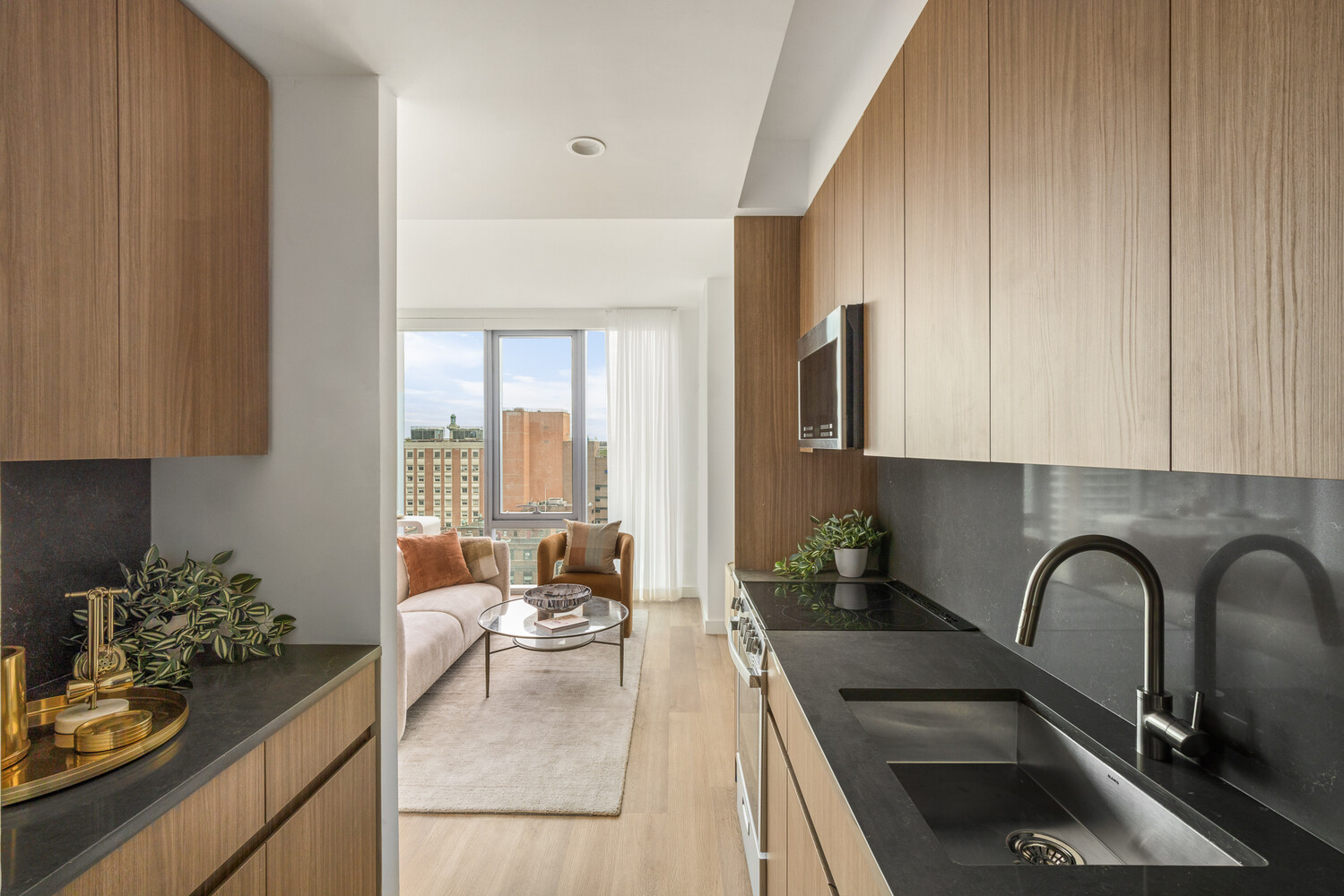 89 De Kalb Avenue 19B Fort Greene Brooklyn NY 11201