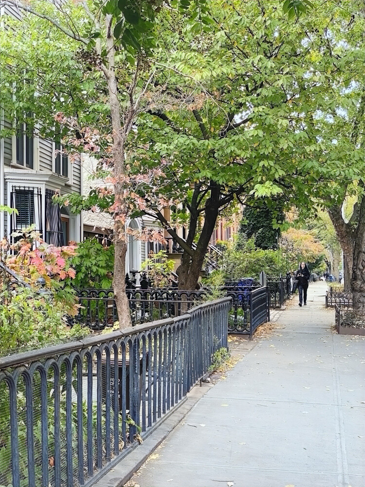 158 Nevins Street Boerum Hill Brooklyn NY 11217