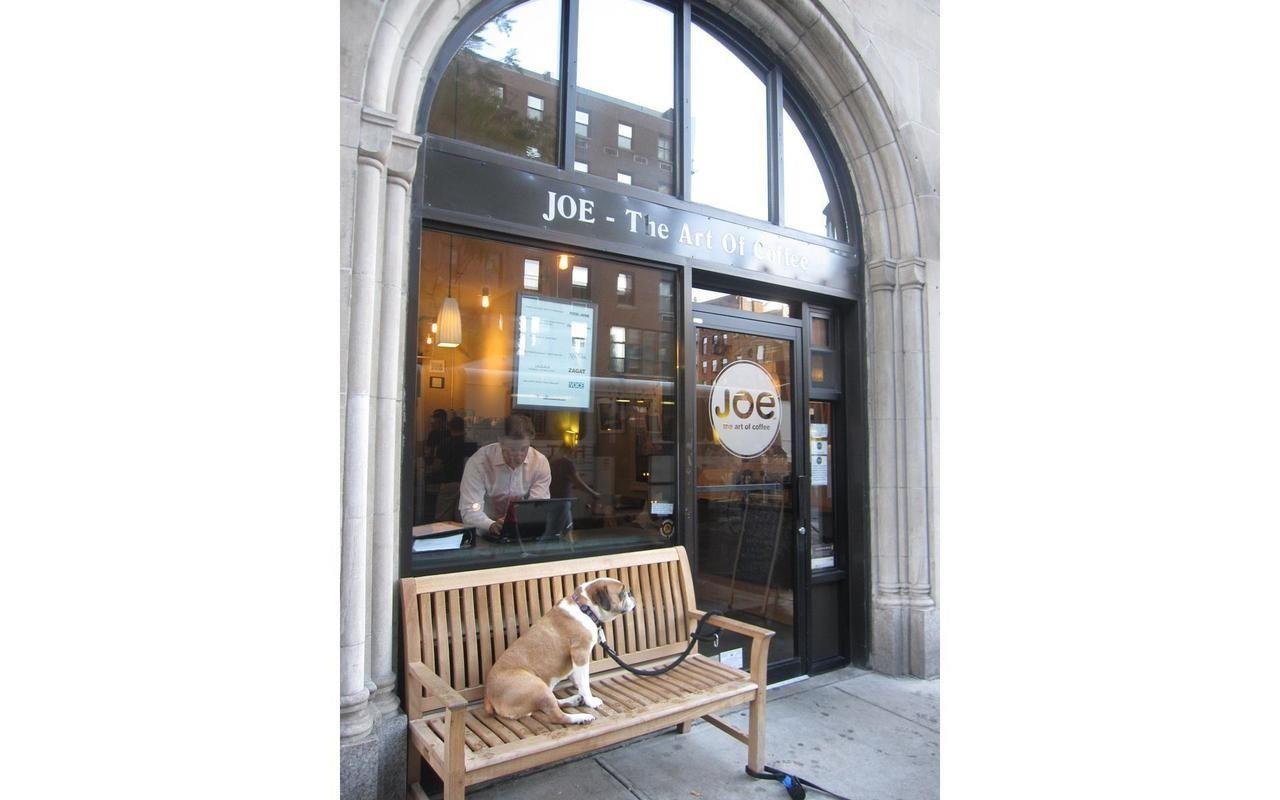 465 West 23rd Street 19D Chelsea New York NY 10011