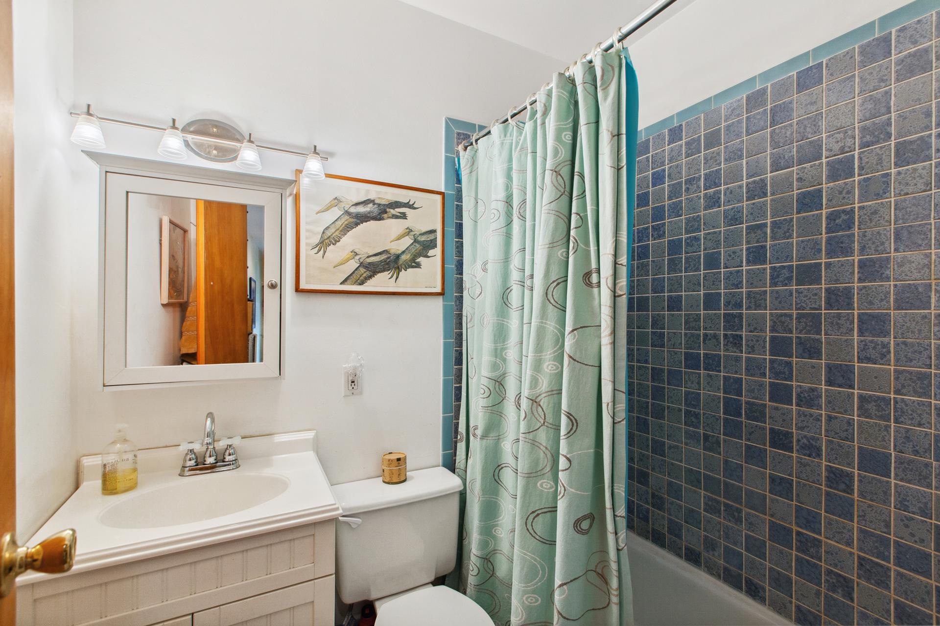 299 13th Street Park Slope Brooklyn NY 11215