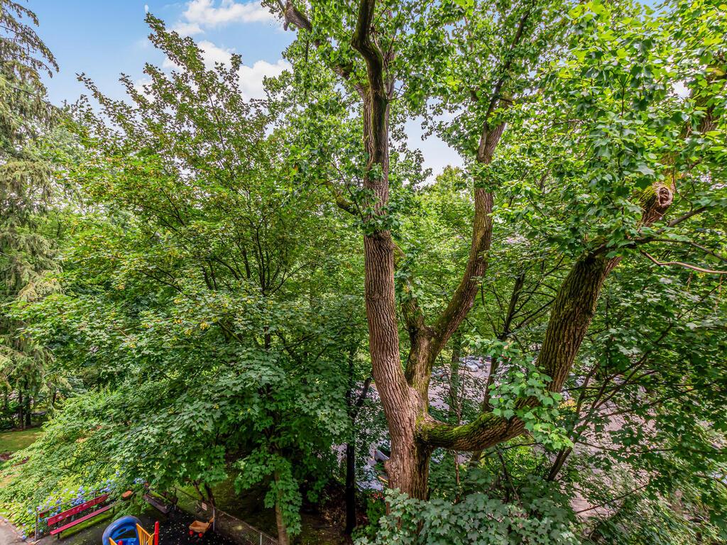 679 West 239th Street Riverdale Bronx NY 10463