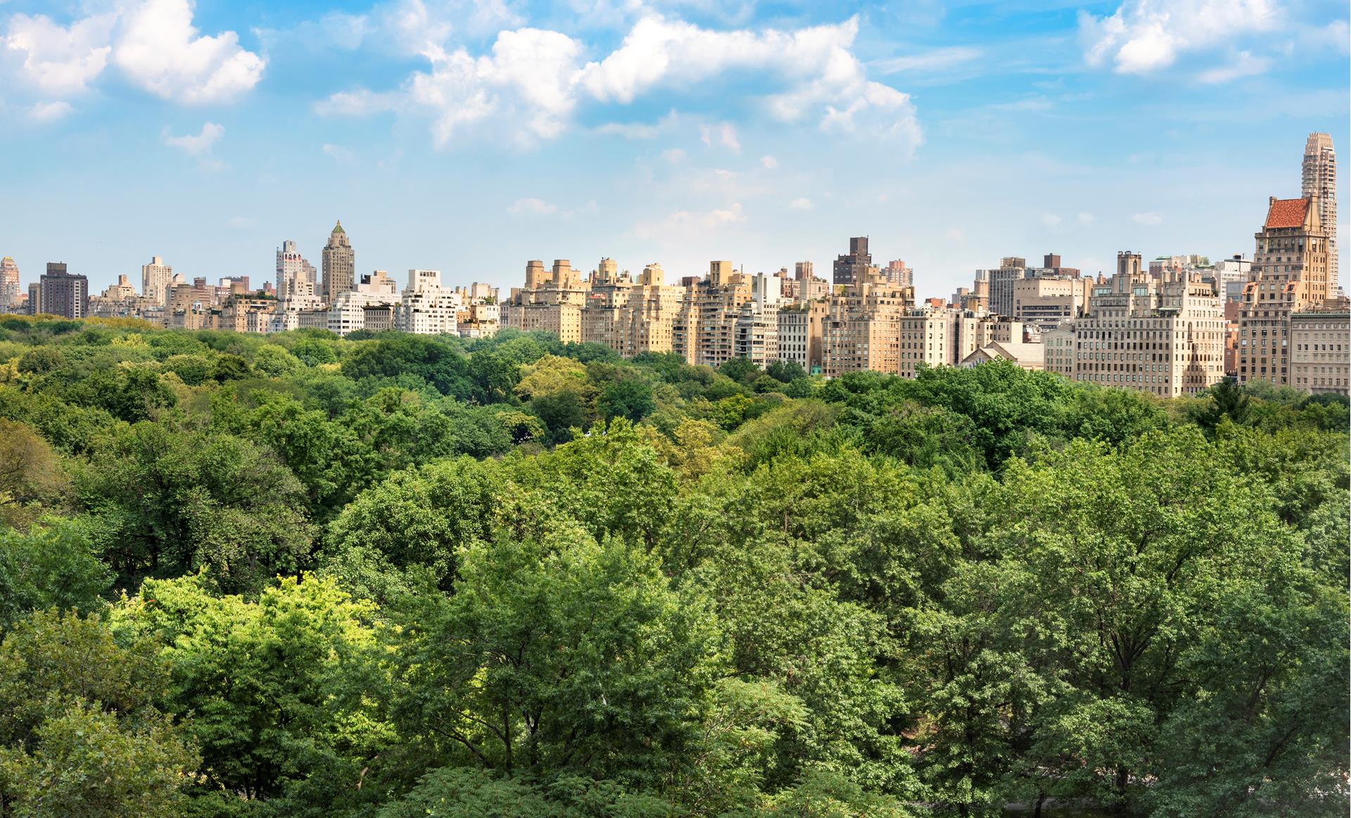 160 Central Park South 915 Central Park South New York NY 10019
